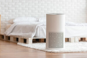 Best Molekule air purifiers of 2021